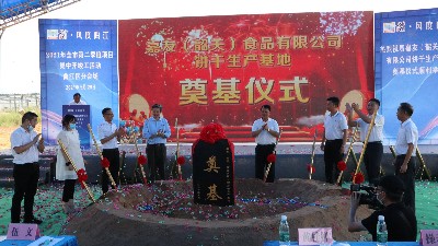 ŷabg޹˾عصڨʽԲֳɣ